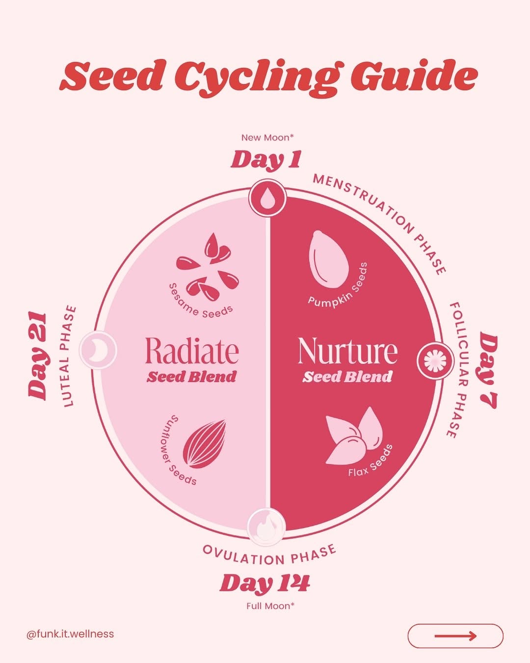 What is Seed Cycling?